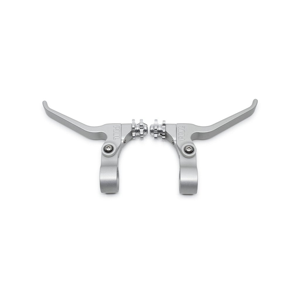 PAUL CANTI LEVER PAIR