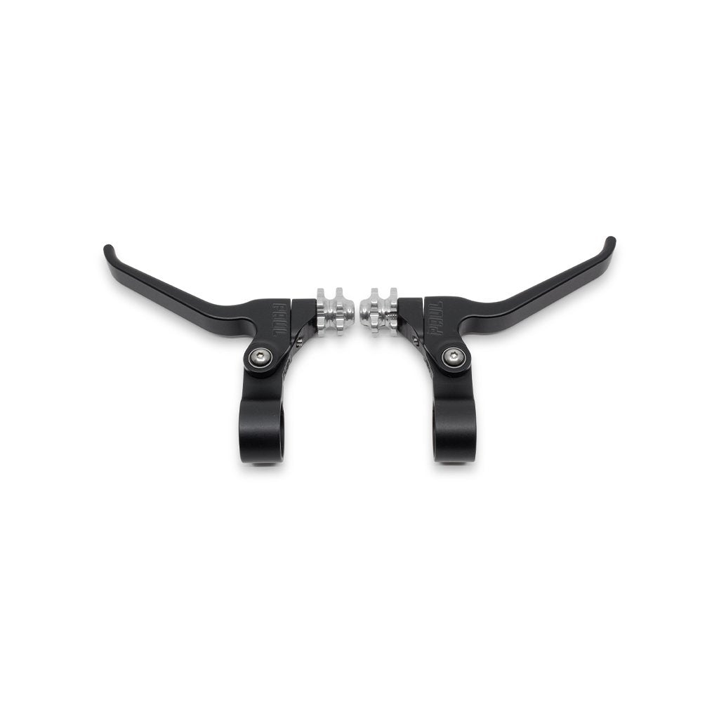 PAUL CANTI LEVER PAIR