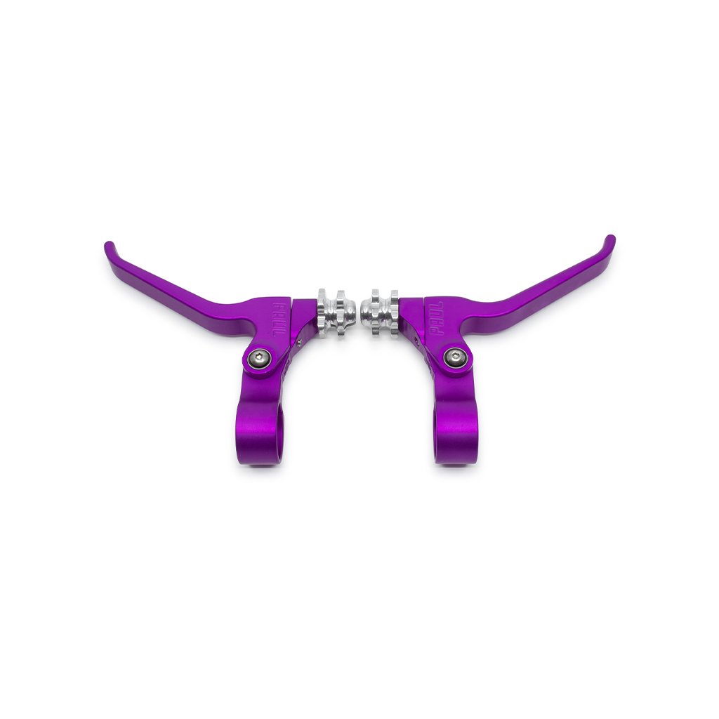 PAUL CANTI LEVER PAIR